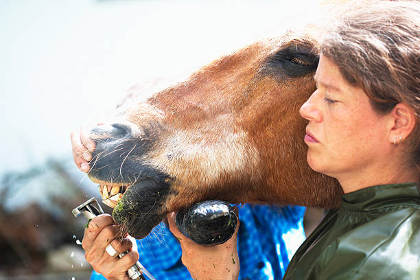 is ketamine horse tranq